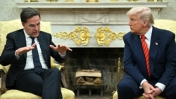 Встреча Дональда Трампа и генсека НАТО Марка Рютте в Белом доме, 14 июля 2025 года